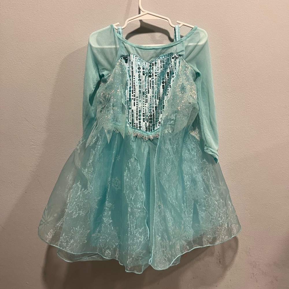 Disney Frozen Elsa Costume with Snowflake Embellishments